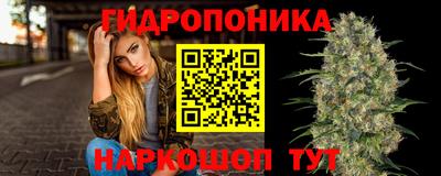 apvp Кунгур
