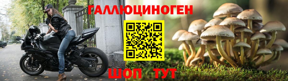 Галлюциногенные грибы MAGIC MUSHROOMS Чехов