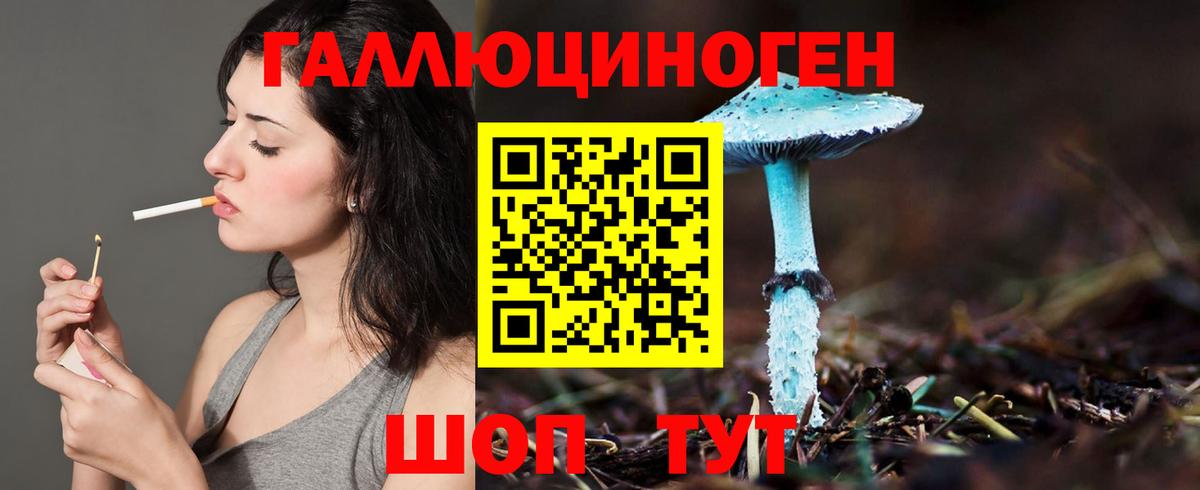 Чехов  хочу   Галлюциногенные грибы MAGIC MUSHROOMS  Вход с VPN  Галлюциногенные грибы Magic Shrooms 